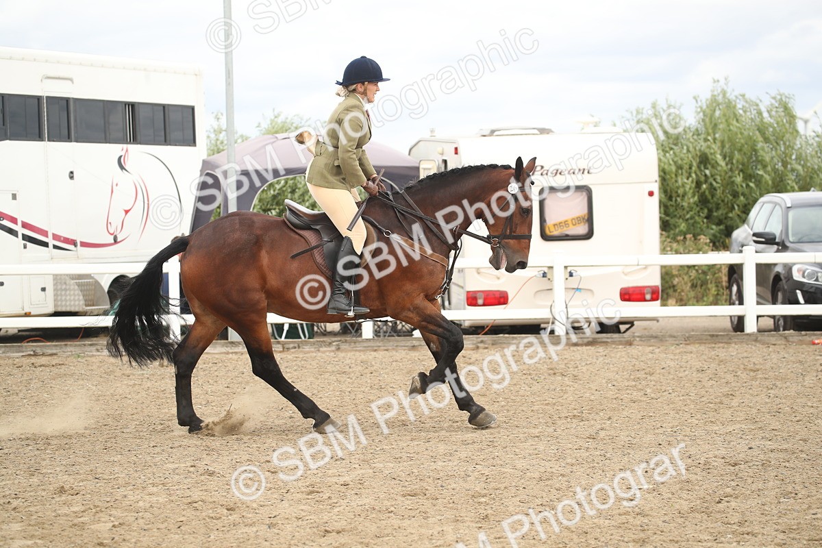 SBM_16808 - Class 507b - Working Veteran 60cm (20+)