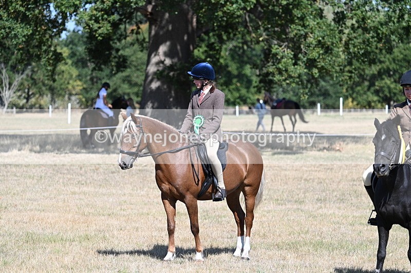 WJ7_4172 - Class 9 Mountain & Moorland Ridden