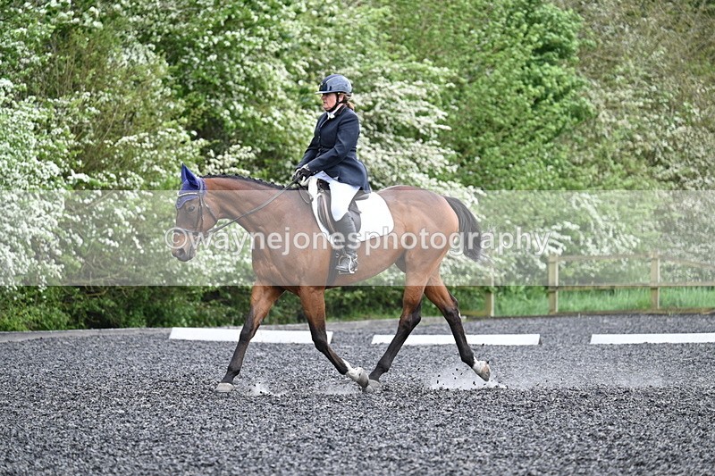 WJ7_1271 - Time 14:16 to 14:55