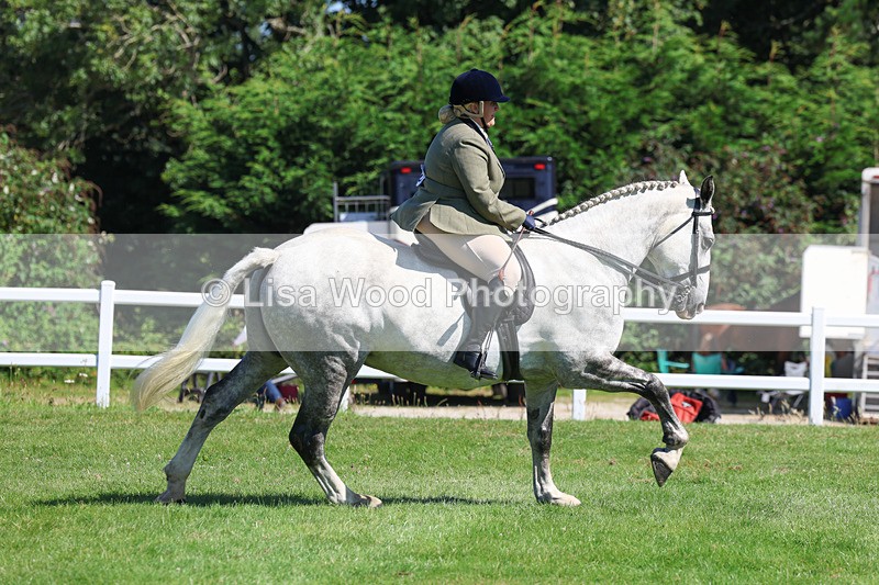 3E7A8350 - Class 4: Novice working Hunter