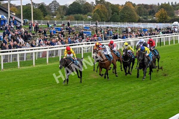 101025-Race 5-Go Vince Go-0390 - Race 5 Parsonage Hotel And Cloisters Spa Nursery Handicap at York