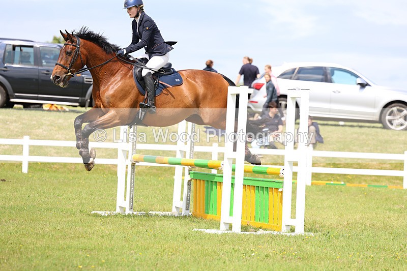 3E7A7541 - Class 13: Senior British Novice/90cm open