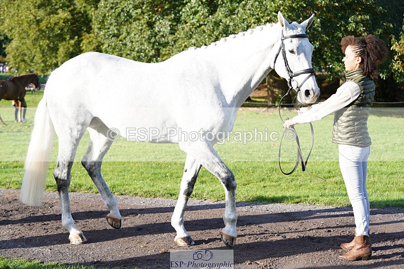 241026-101542-11722 - 003-Lydia.Heywood-COLACENTRIC