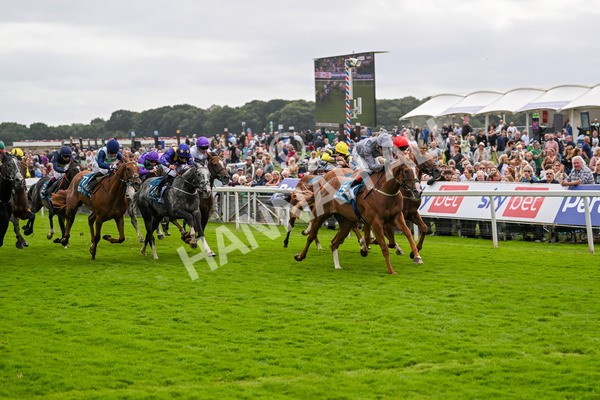 220824-Race 3-Thunder Run-7036 - Race 3 3.00pm Clipper Handicap