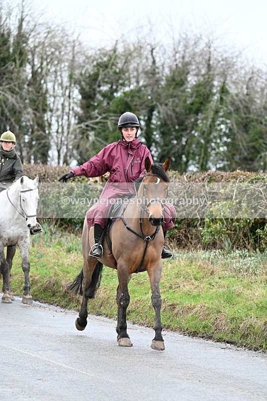 WJ7_8878 - Berks & Bucks - Rowles Farm 15-02-26