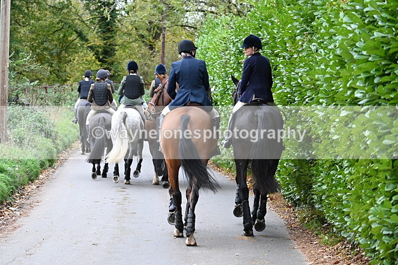 WJ7_7282 - Walk Home..