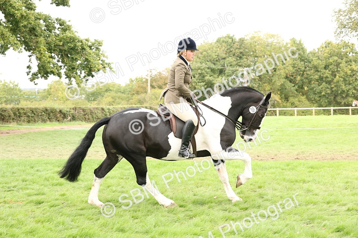 SBM_67226 - S67 - Piebald & Skewbald Horse Ridden