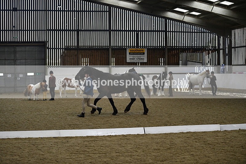 WJ5_4833 - Class 7 In hand coloured / odd coloured