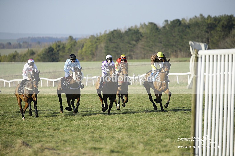 PtP 270222 501 - South & West Wilts Point-to-Point Larkhill 27/02/22