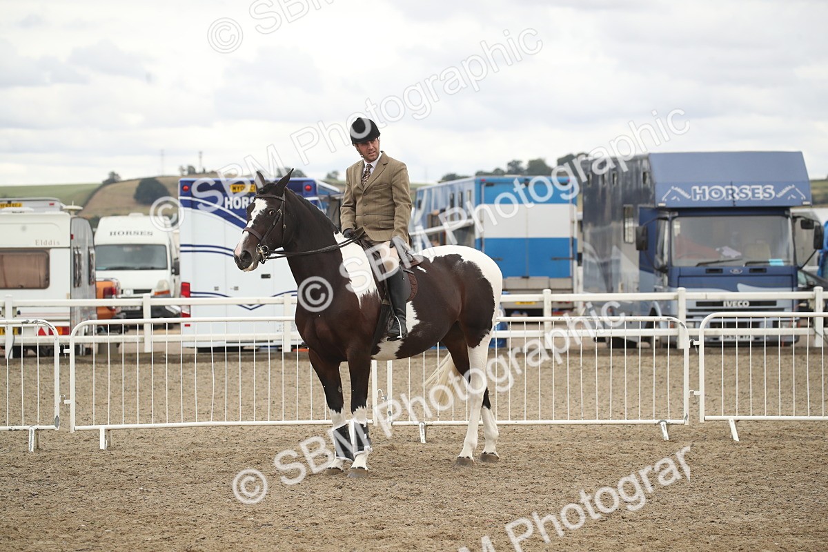SBM_18293 - Class 509a - Working Veteran - 80cm (15-19)
