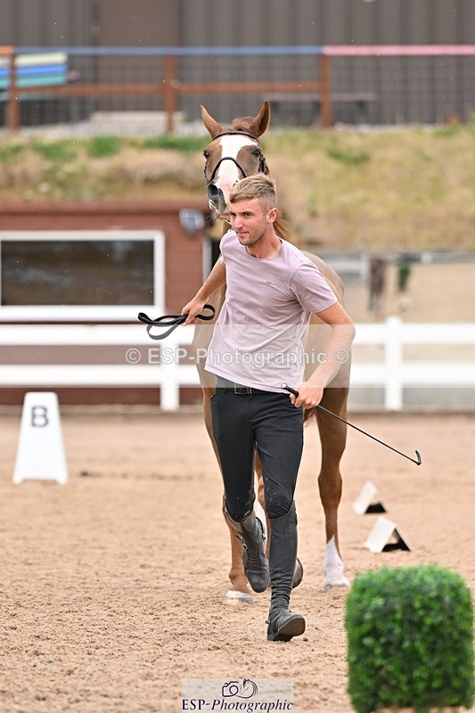 250716-161005-02481 - Trot Up 3.30 to 4.30