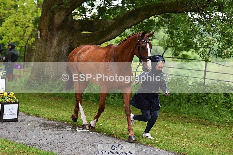 240522-151948-00265 - 322-CHILLI_KING-Gemma_Stevens