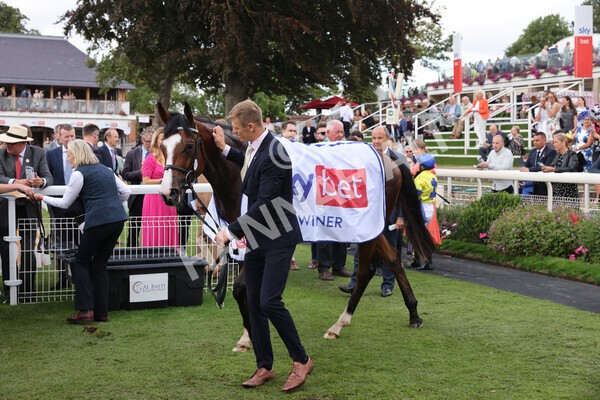 yr20082022r2-63 - Race 2 2.35pm Sky Bet Melrose Stakes