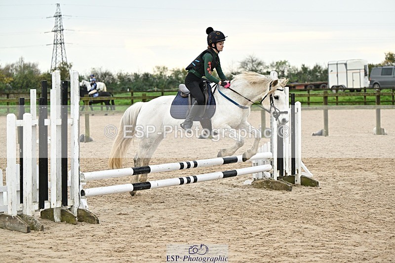 241110-140409-01024 - 60-65cm Arena Eventing
