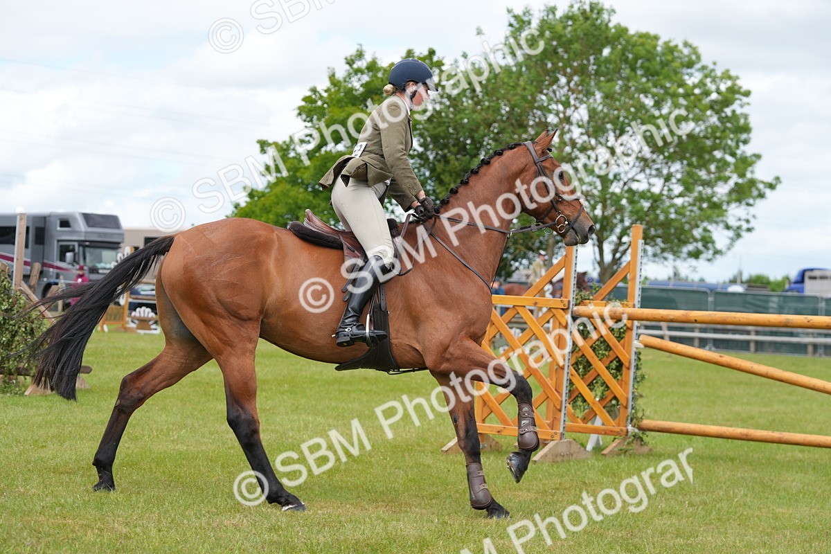 SBM_14918 - Class 100-102 - RIHS Working Hunter