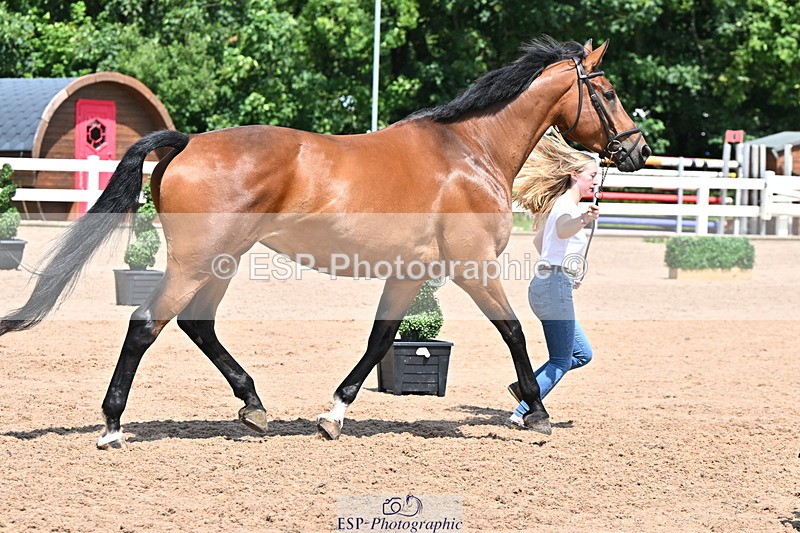 240718A-105317-01801 - Trot Up 1pm to 2pm