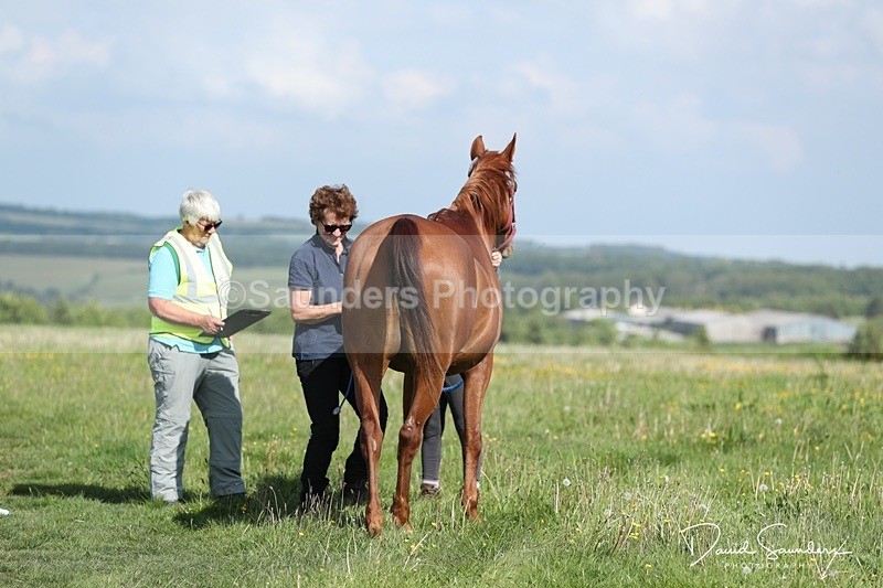 SPXX0004 - Friday vetting