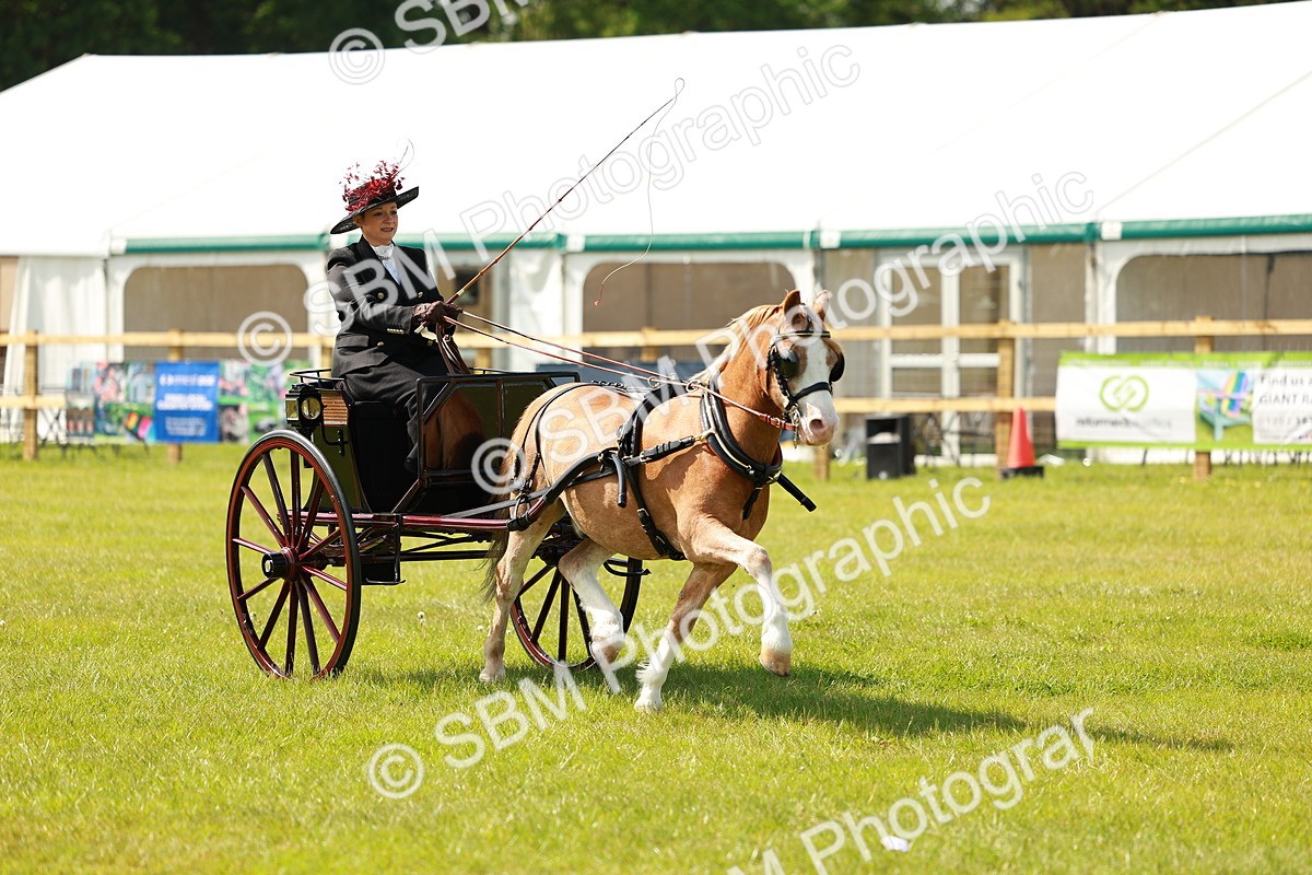 SBM_02668 - Class 2-4 - HOYS Private Driving