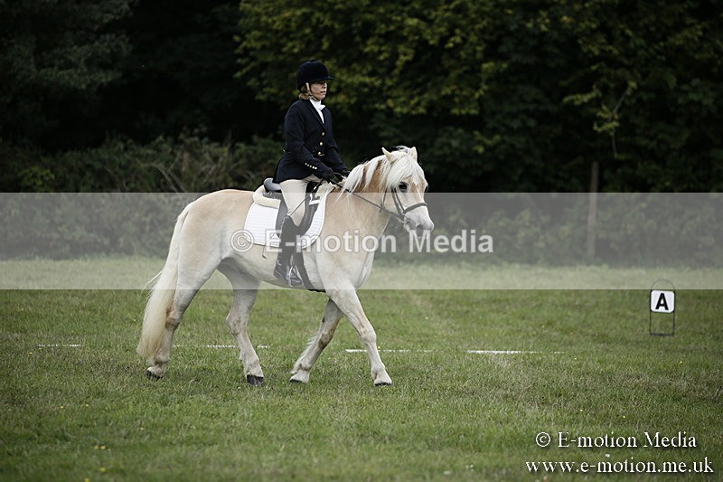 BVR090918 72 - BVRC Dressage and Show Jumping 09/09/18