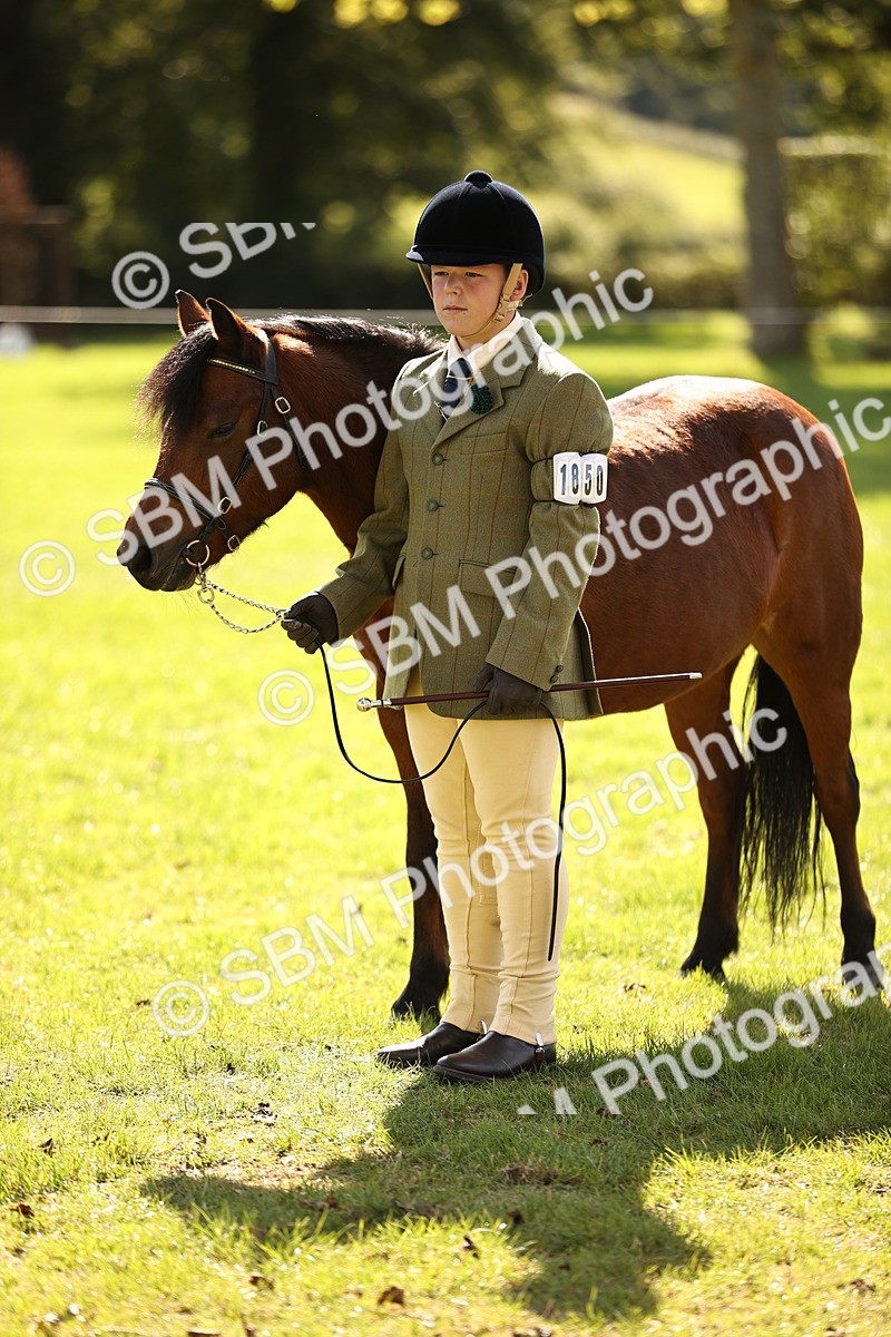 SBM_26195 - S5 - Novice & Newcomers In Hand