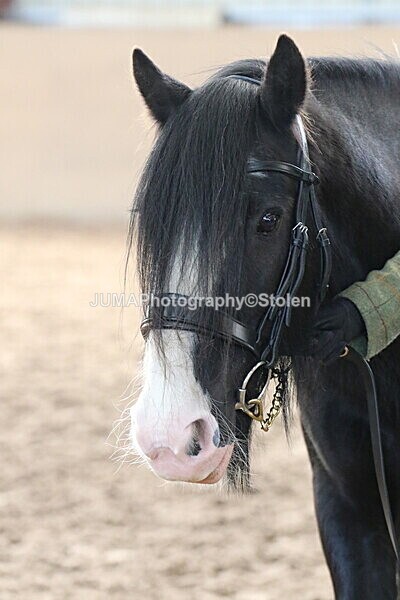 SIAL0150 - Indoor Classes