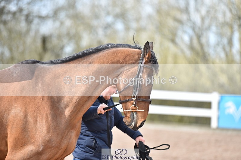 240417A-155546-01031 - 3pm to 4pm