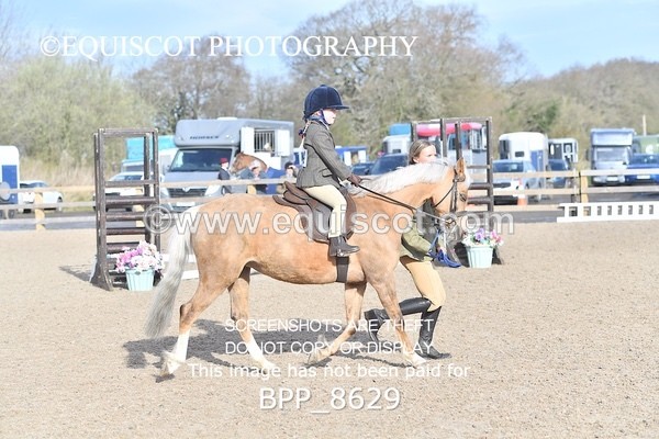 BPP_8629 - TRAINING STAKES