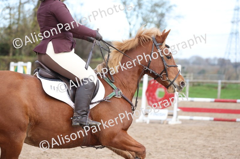 20251116-0584 - Class 3 - 80cm