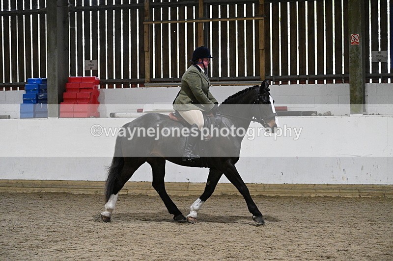WJ7_3931 - Class 17 Ridden Cob