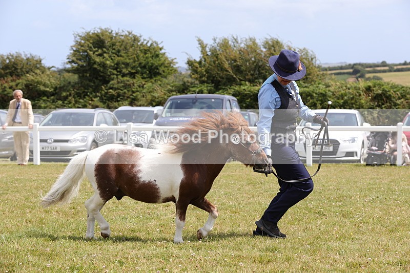 1X9A4841 - Class 35: Veteran In Hand