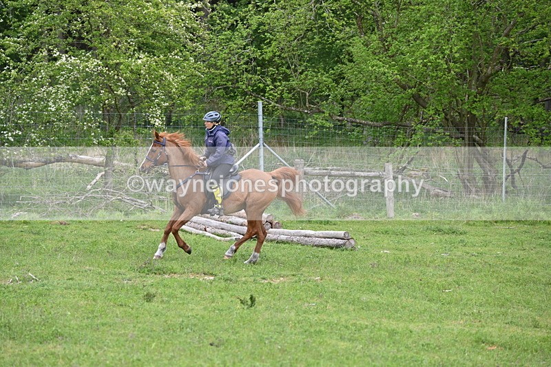 WJ6_3223 - A camera