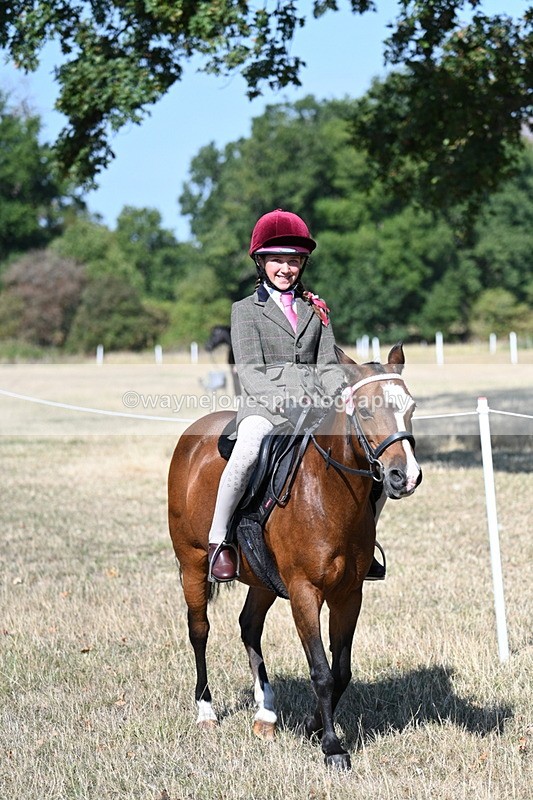 WJ7_3558 - Class 9 Mountain & Moorland Ridden