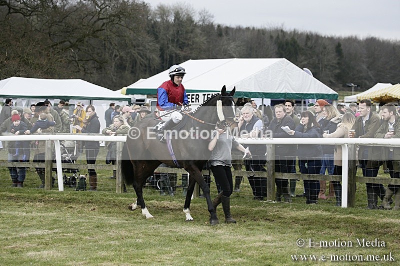 PtP 110318 103 - Hampshire Hunt Point-to-Point Hackwood Park 11/03/18