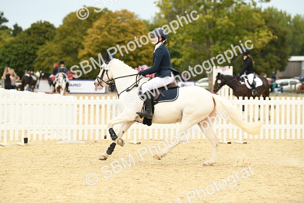 SBM_72992 - J16 - Junior Pony 75cm Championship