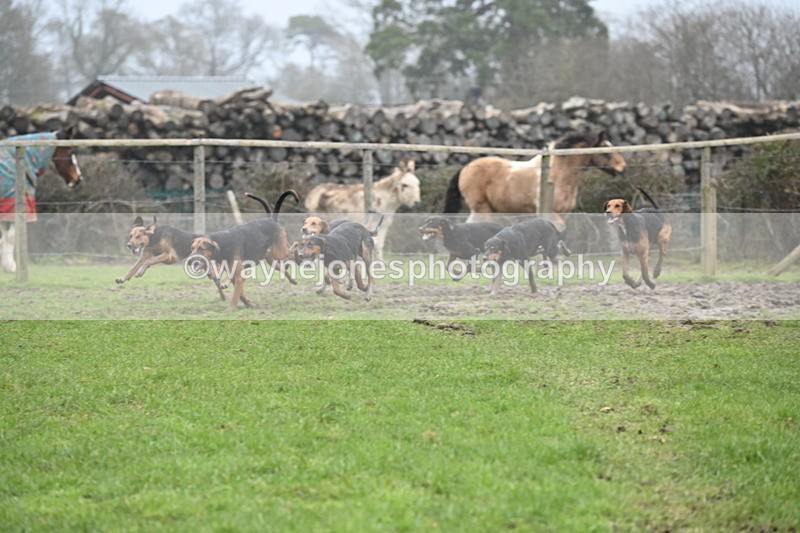 WJ6_5881 - Camera A