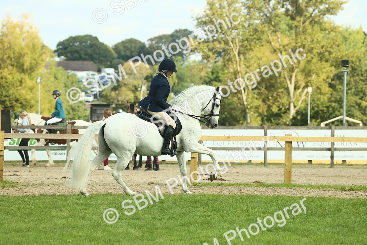 SBM_62438 - S62 - Foreign Breeds Ridden