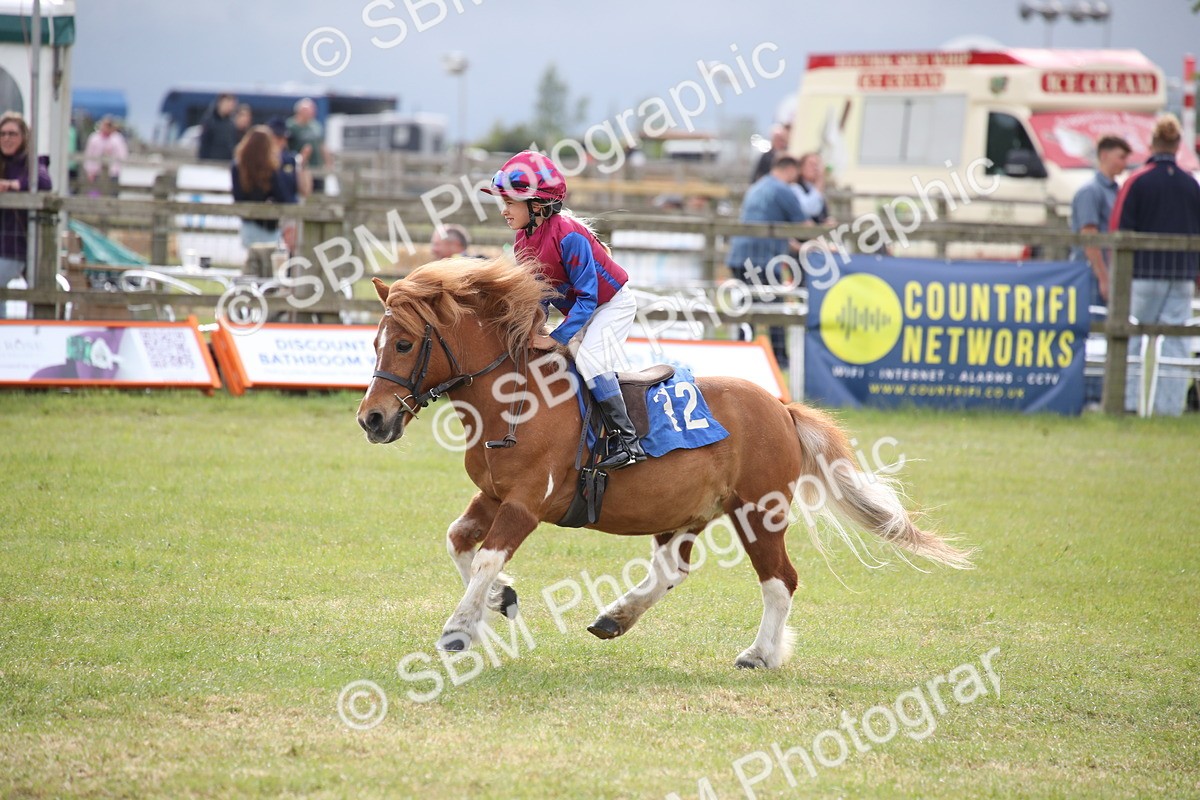 SBM_10204 - Dinky Derby