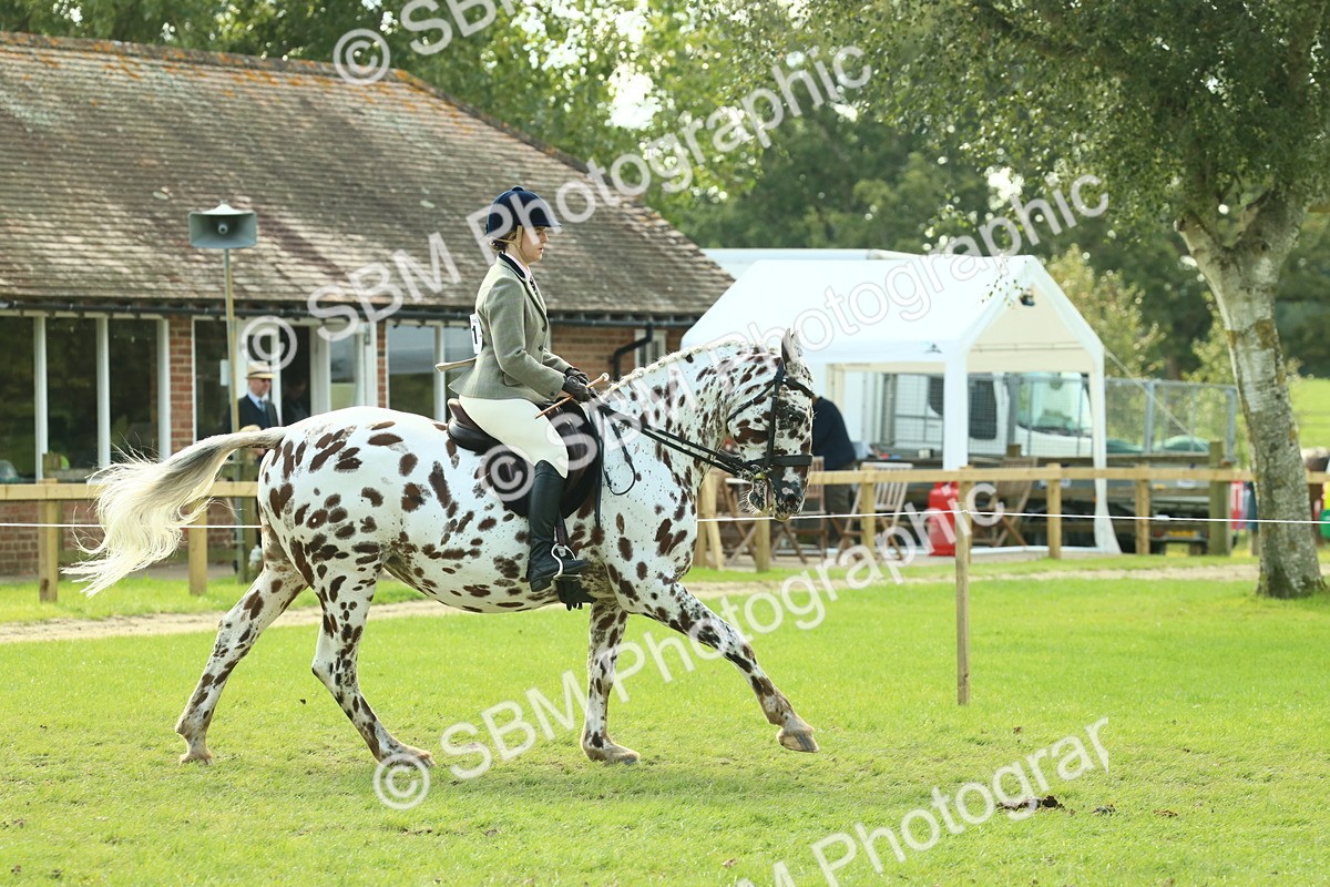 SBM_62411 - S62 - Foreign Breeds Ridden