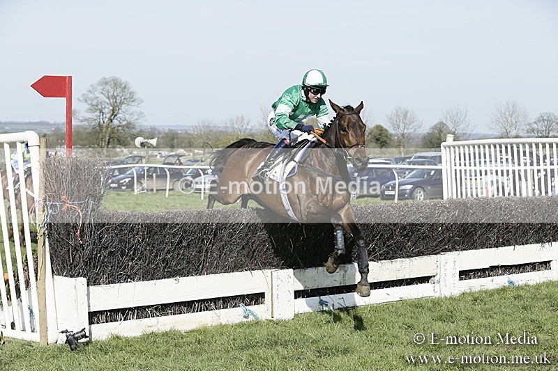 PtP 260317 291 - Mendip Farmers Point-to-Point Ston Easton 26/03/17