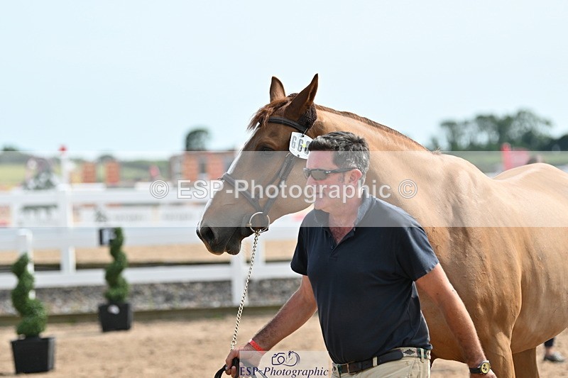 240717A-161248-03351 - Trot Up 4pm to 5pm