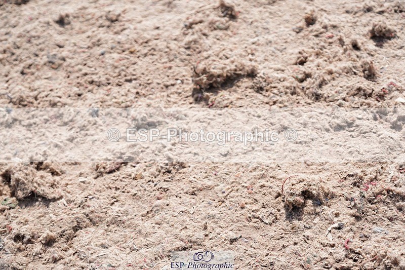 250511-104044-13320 - Cls 31 Snr Discovery and 1m Open