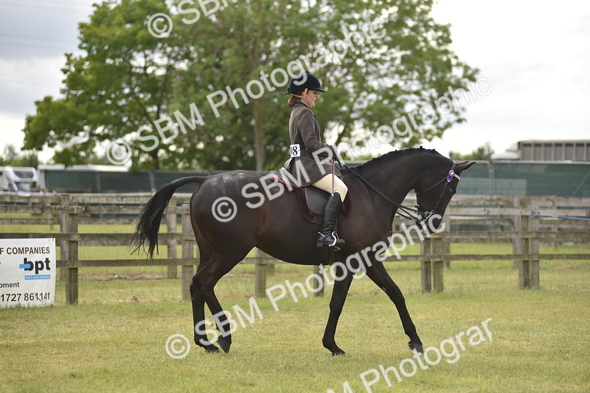 SBM_18146 - Class 122-123 - LIHS BHSA Raising Star Style and Performance Series