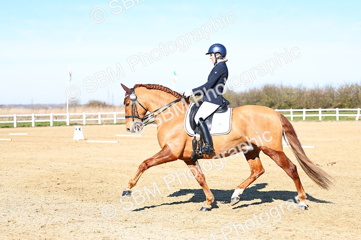 026A8499 - Class 2-6-5-4 - Paso Doble-Sevilla-Golega-Novato