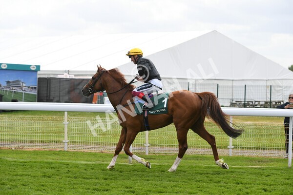 yr13052022r4-9 - Race 4 3.35pm The Paddy Power Yorkshire Cup (British Champions Series Race)