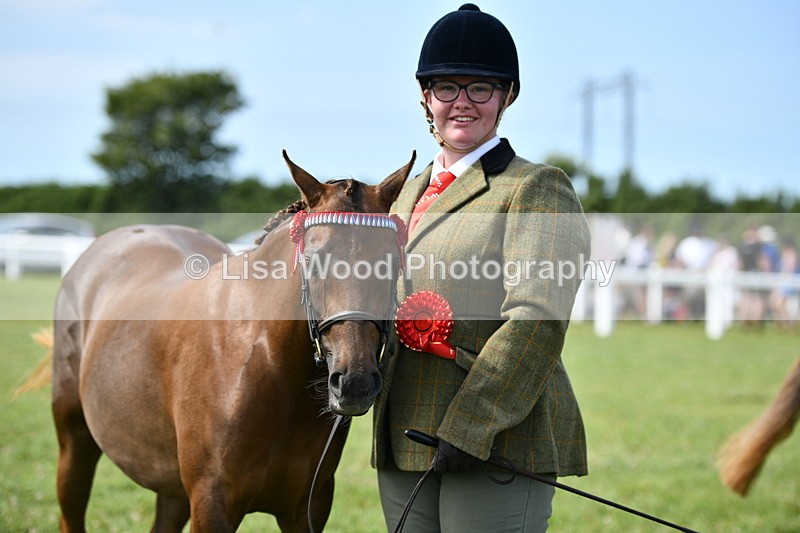 DSC_8409 - Class 68: Part Bred In Hand M & M