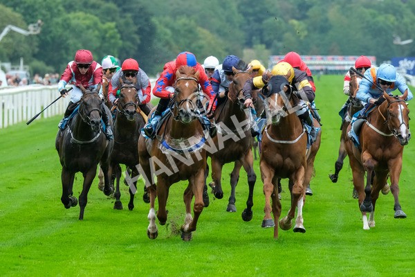 080925-Race 2-Alzahir-7861 - Race 2 3.00pm Sky Bet Super Sub Sprint Handicap