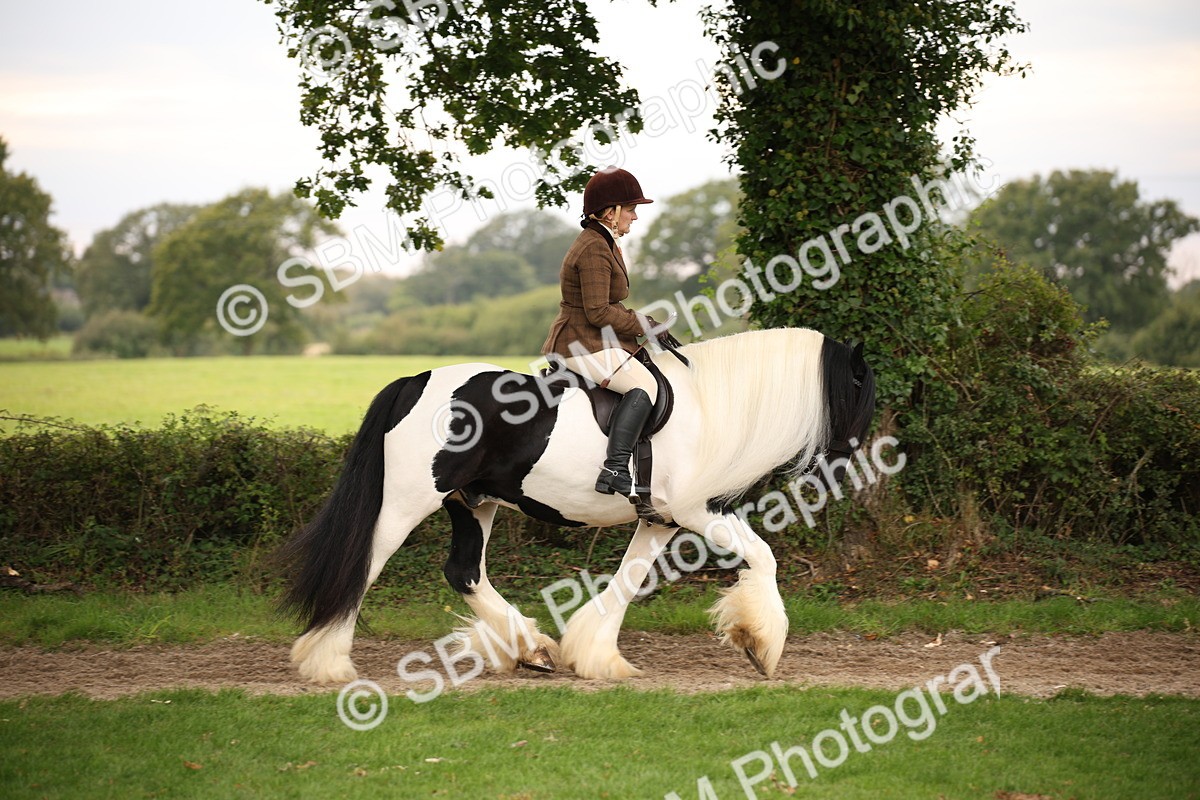 SBM_73430 - S68 - Traditional Cob Ridden