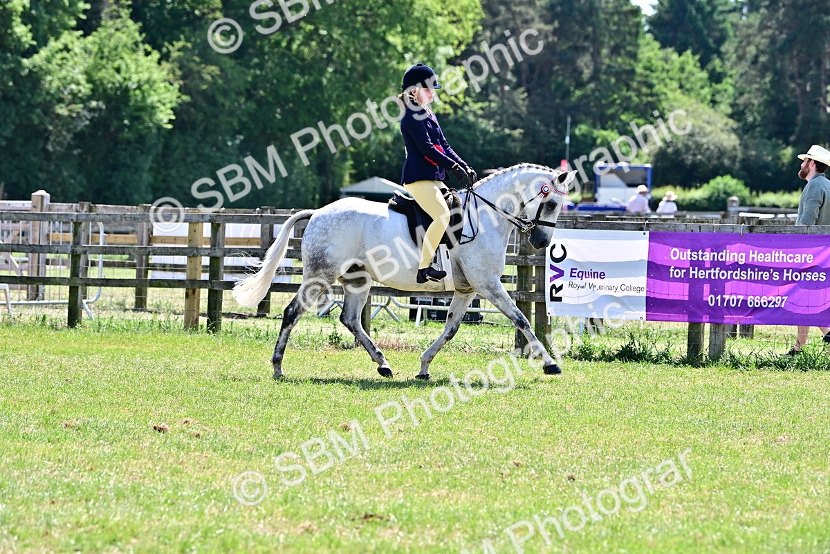 SBM_17569 - Class 95-97 - BSPS LHS Performance Ponies