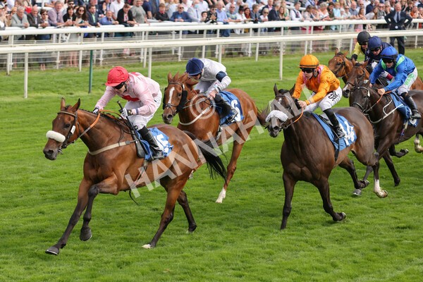 yr18082021r5-54 - Race 5 4.10pm Sky Bet Stakes