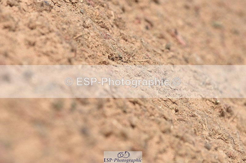 230810A-113122-00889 - Cls 9 Foxhunter
